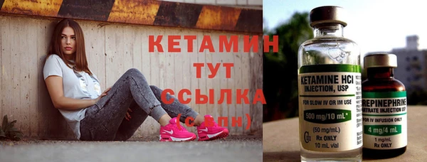 крисы Новозыбков