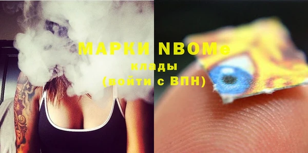 крисы Новозыбков
