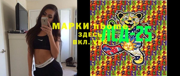 крисы Новозыбков