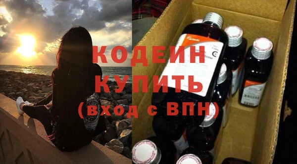 крисы Новозыбков