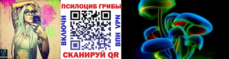 купить  цена  Ржев  Псилоцибиновые грибы Magic Shrooms 